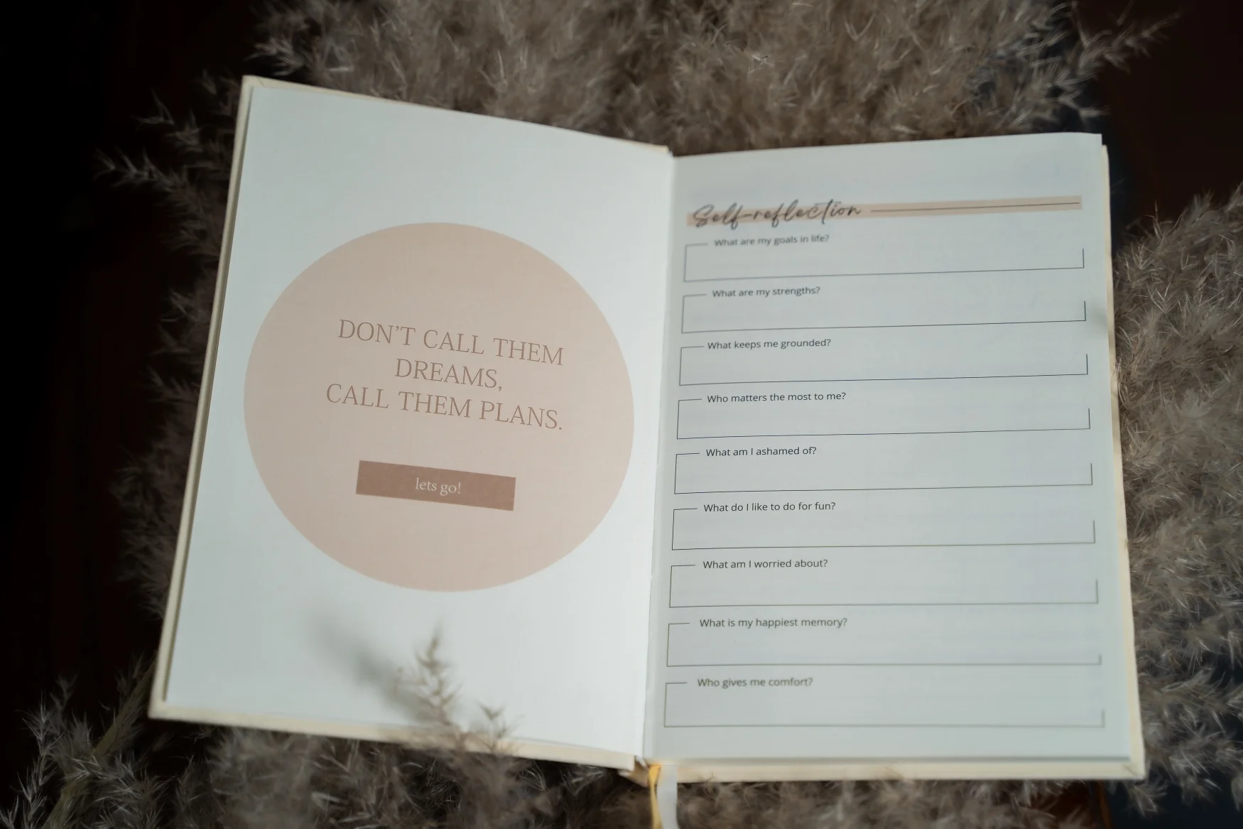 Wellness Journal