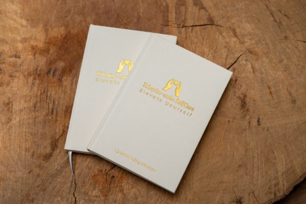 Wellness Journal - Image 5